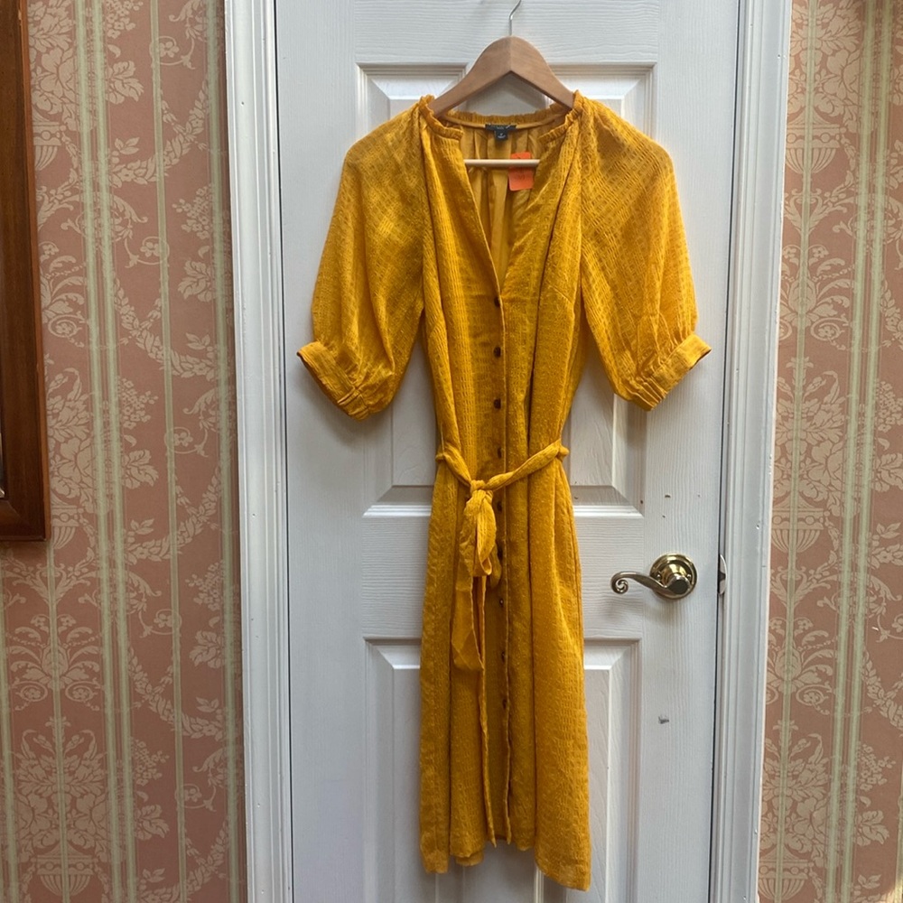 ANN TAYLOR PETITE Midi Dress
